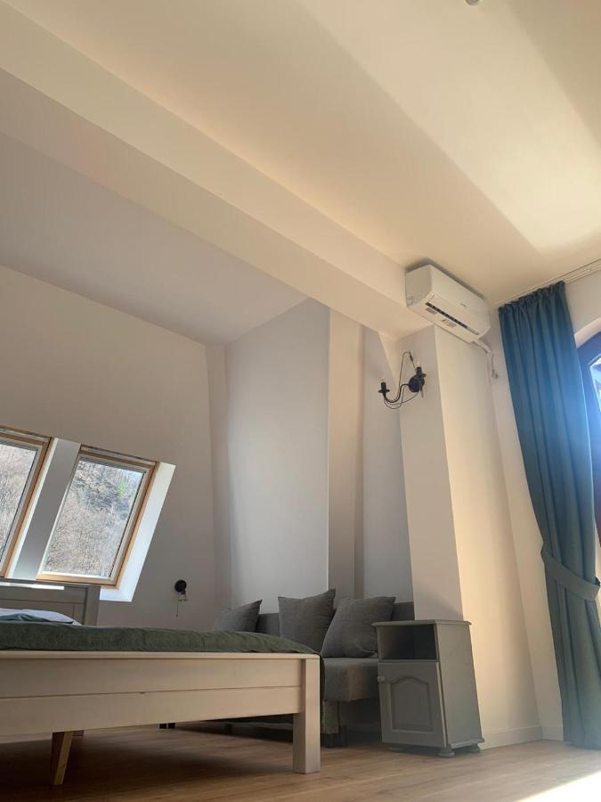 Pension Casa Vanatorilor Băile Olăneşti Extérieur photo