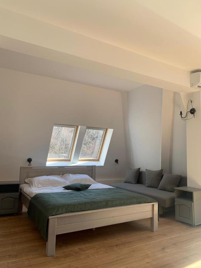 Pension Casa Vanatorilor Băile Olăneşti Extérieur photo