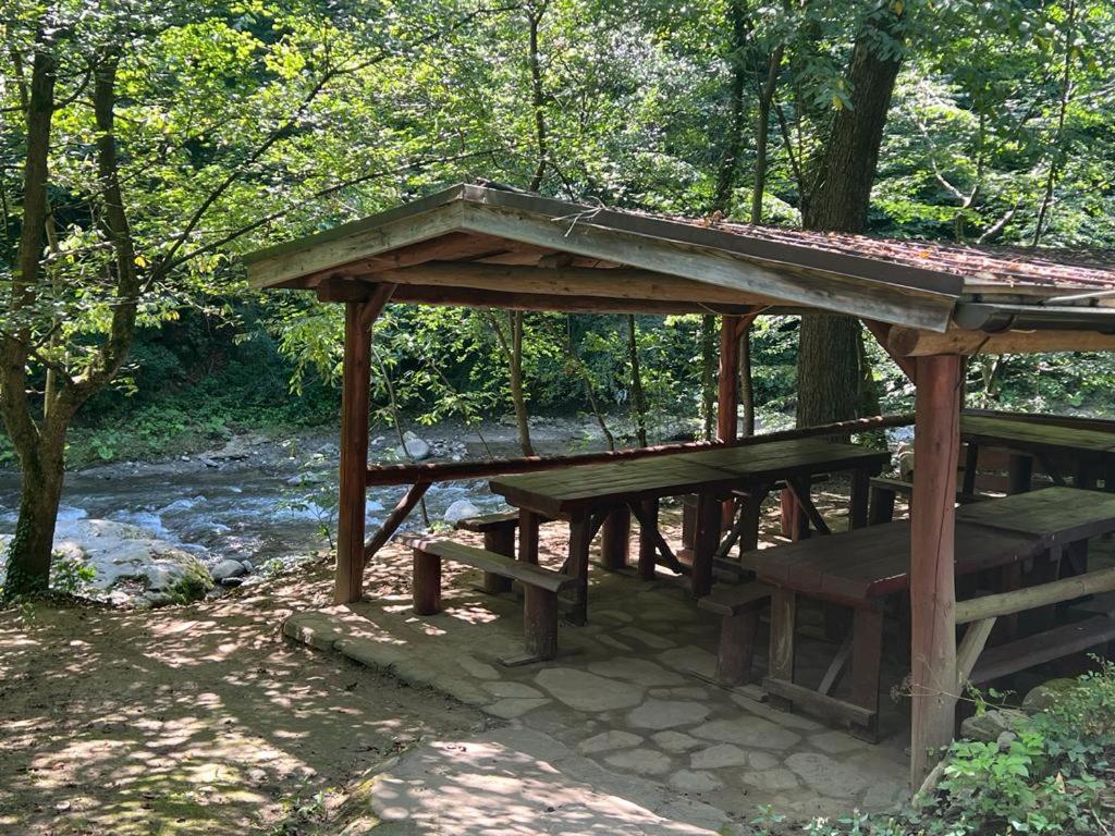 Pension Casa Vanatorilor Băile Olăneşti Extérieur photo