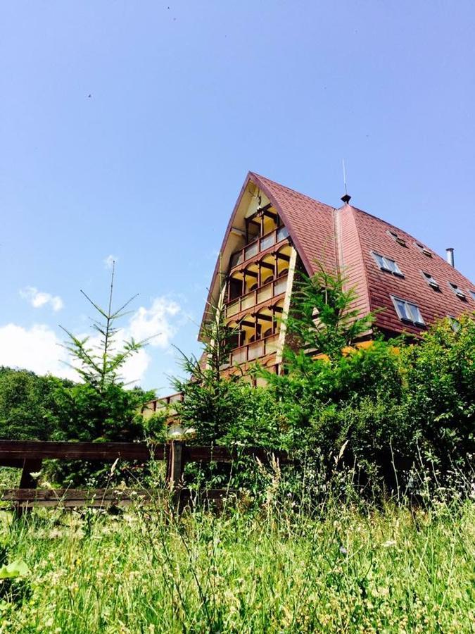 Pension Casa Vanatorilor Băile Olăneşti Extérieur photo