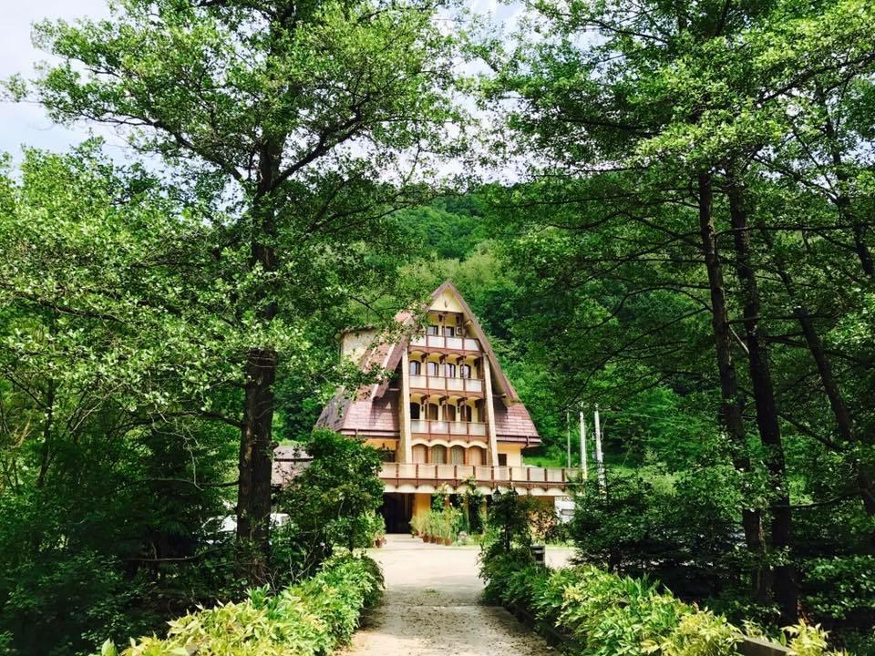 Pension Casa Vanatorilor Băile Olăneşti Extérieur photo
