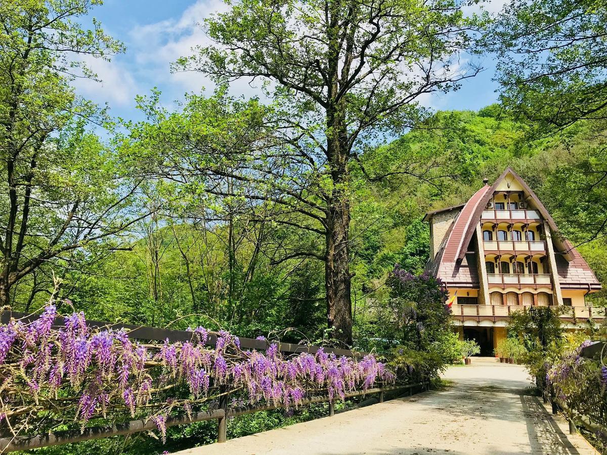 Pension Casa Vanatorilor Băile Olăneşti Extérieur photo