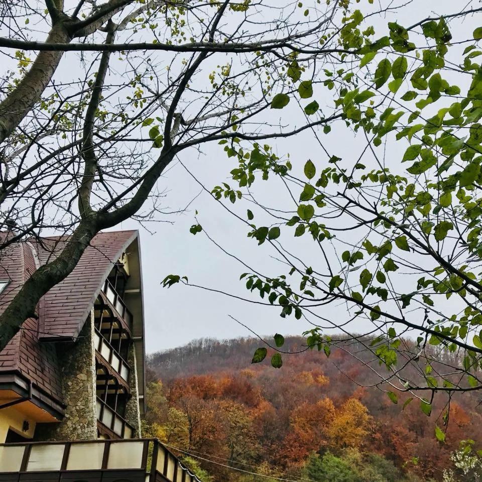 Pension Casa Vanatorilor Băile Olăneşti Extérieur photo